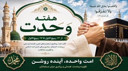 هفته وحدت؛ تأکید عالمان دینی و فرهنگی هرات بر تقویت همبستگی امت اسلامی