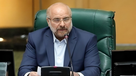 Ghalibaf, në përgjigje të retorikës së Bessent: Shfaqja jote qesharake ishte si një stand-up në një klub nate