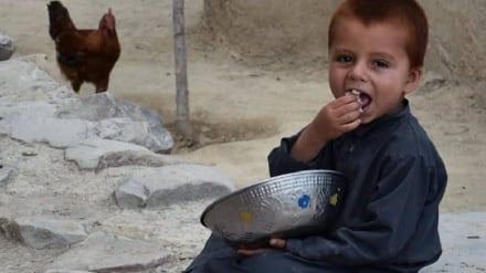 اوچا: د افغانستان روغتیايي بودجه یوازې ۳۷ سلنه تمویل شوې