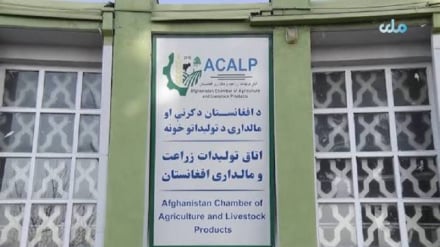 تلاش برای گشایش بازار مشترک در مسکو؛ امیدی تازه برای محصولات زراعتی افغانستان