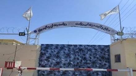 نزدیک به ۴۰۰ زندانی در بلخ مشمول عفو و تخفیف مجازات شدند