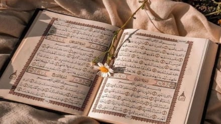 د رڼا سرچینې-193   (د شپې لمونځ) 
