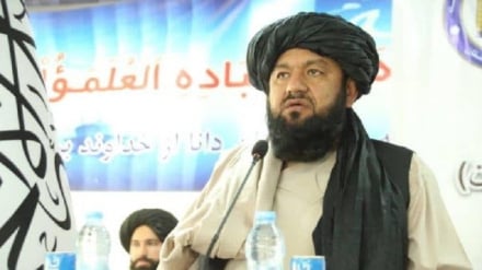 معاون وزیر داخله طالبان: شیعه و سنی اعضای یک خانواده‌اند