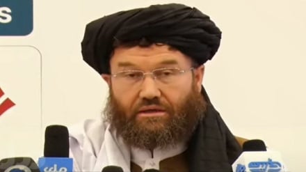 وزیر زراعت: افغانستان در تولید گوشت مرغ و تخم مرغ خودکفا شده است