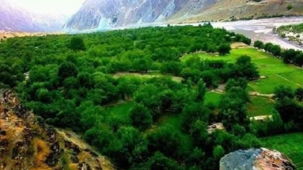 باغداری مدرن در خواجه‌غار تخار؛ امید تازه برای افزایش درآمد خانواده‌ها