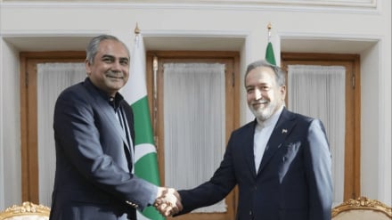 وزیر کشور پاکستان با عراقچی دیدار کرد