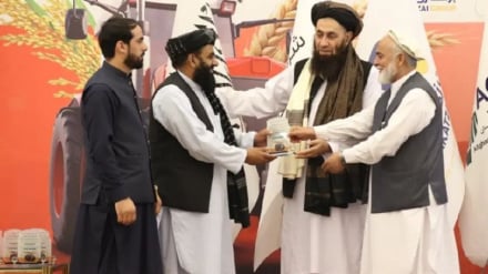 پایان نمایشگاه بین‌المللی زراعت در افغانستان؛ امضای قراردادهای ۲۰۰ میلیون دلاری