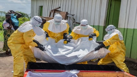 Utafiti: Mlipuko wa Ebola Kongo ulianza miezi kadhaa kabla ya kugunduliwa