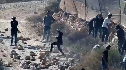 Aumento de las críticas a Tel Aviv tras la escalada de la violencia de los colonos en Cisjordania