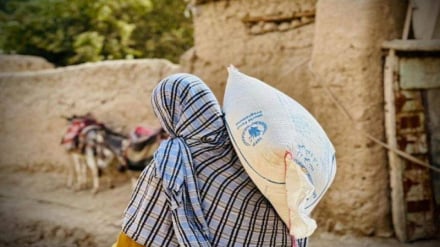    شیوع روزافزون سوءتغذیه در افغانستان در بیداد فقر، گرانی و کاهش کمک‌ جهانی