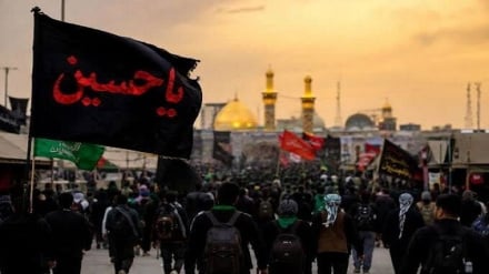 اربعین؛ روایت حماسه، خدمت و همدلی در مسیر نجف تا کربلا