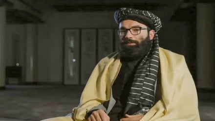 انس حقانی: سیاست بدون عقلانیت به واکنش‌های غیرسنجیده منتهی می‌شود
