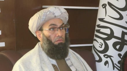 حنفی: زنان افغان از همه حقوق شرعی خود برخورداند