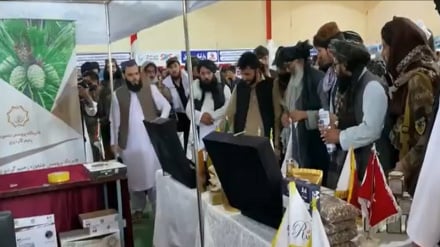 نمایشگاه سه روزه تولیدات داخلی و صنایع دستی در پکتیا برگزار شد