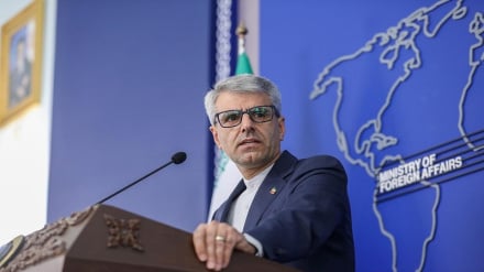 بقائی: قطعنامه شورای حکام علیه ایران، تصمیمی کاملاً سیاسی بود