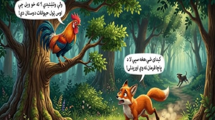 خوږې  کیسې  