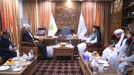  له ایران سره د کرنې او مالدارۍ په برخو کې د همکاریو پراختیا ته د افغانستان چمتووالی