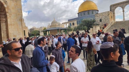 Ripoti za UN: Mashambulizi ya walowezi huko Palestina yanaongezeka, na takwimu zinamkadhibisha Netanyahu