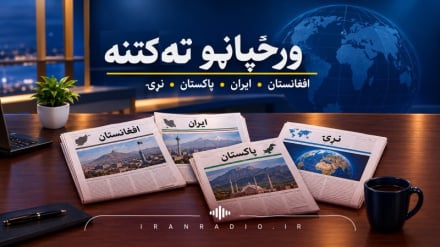 ورځپاڼو ته کتنه 