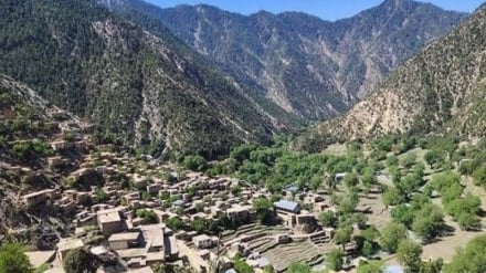 درگیری‌های نورستان؛ ادعاهای متضاد طالبان و جبهه آزادی از تلفات سنگین