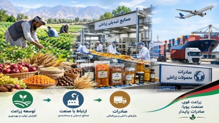 والی هرات: زراعت باید موتور محرک صنعت و صادرات باشد