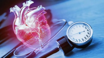 Protein TG2: Target Baru untuk Terapi Hipertensi Presisi