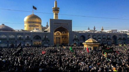 بررسی فعالیتهای مهاجرین افغانستانی در یک هفته گذشته 
