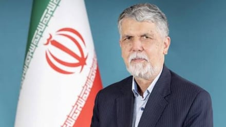 صالحی: با دیپلماسی فرهنگی، پیام هویت و حماسه ایران را به جهان منتقل می‌کنیم