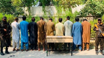 بازداشت ۹ سارق مسلح و کشف اموال مسروقه در ننگرهار
