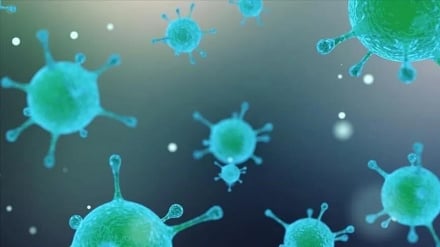 Mlipuko wa ugonjwa wa Kimeta (Anthrax) waua wanyamapori nchini Zambia na kuwaambukiza binadamu