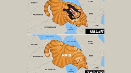 ניו יורק טיימס: הגסט הוא 