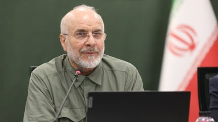 قالیباف د بلومبرګ د تېلو د خبر په غبرګون کې د یوه مشهورامریکايي انیمېشن ویډیو خپره کړه