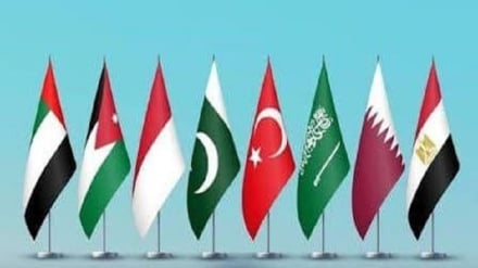 هشت کشور منطقه اخراج اجباری فلسطینیان از نوار غزه را محکوم کردند
