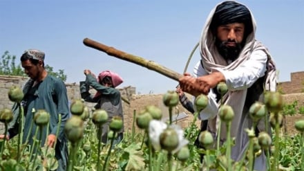 طالبانو امریکا ته سخت ځواب ورکړ