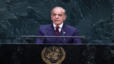 شریف از تریبون ملل متحد افغانستان را به پناه دادن به تروریست‌ها متهم کرد