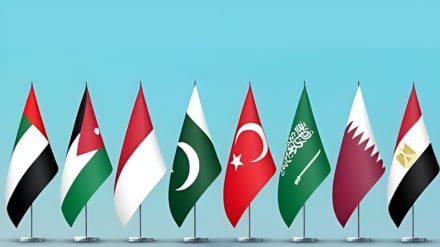 Pakistani dhe 7 vende islamike dënojnë dëbimin e palestinezëve nga Rripi i Gazës