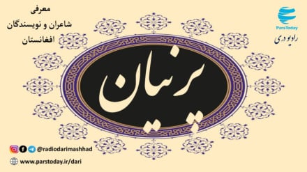 پرنیان (سلمانعلی زکی)