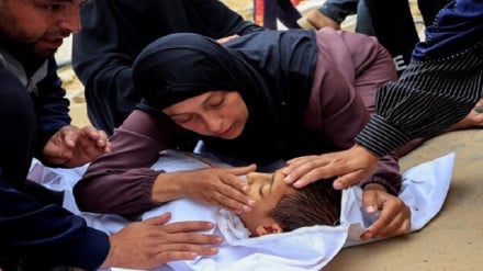 Idadi ya Wapalestina waliouawa shahidi Ghaza imepindukia 74,000