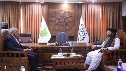 طالبان گسترش همکاری‌های  کشاورزی با ایران را خواستار شد