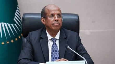 Umoja wa Afrika walaani hatua za kuvuruga amani nchini Niger