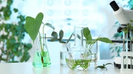 Pusat Penelitian Tanaman Obat Iran: Dari Penelitian ke Produk Komersial