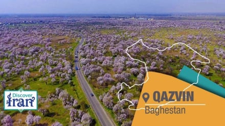 باغستان، میراث زنده‌ی هزارساله و جواهر کشاورزی قزوین به وسعت ۲۷۰۰ هکتار