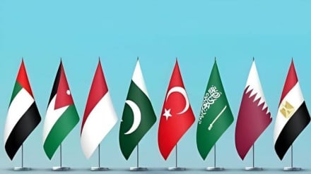 Pakistan və 7 qılə islomiyə məmləkət fələstinıjon ğəzzəku beğandeşon məhkum kardə