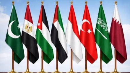 Nchi nane za Kiarabu na Kiislamu: Gaza ni eneo lisiloweza kutenganishwa na Palestina