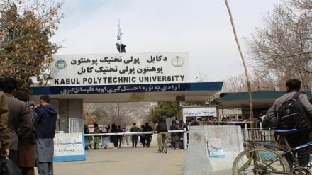 تصویب ایجاد  ۲۸ دانشکده و ۲۹ رشته جدید در دانشگاه‌های افغانستان