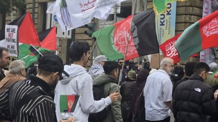 اعتراض افغانستان‌های مقیم آلمان به سیاست‌های تبعیض مذهبی طالبان