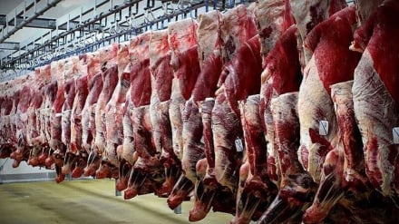 آغاز صادرات گوشت افغانستان به بازارهای خارجی