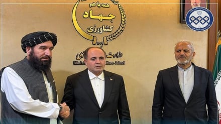 ایران د افغانستان د سیلوګانو د بیارغونې او جوړولو په برخه کې د همکارۍ لپاره چمتووالی وښود