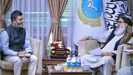 هند د افغانستان د روغتیا او درملنې له برخې د ملاتړ پر دوام ټینګار وکړ