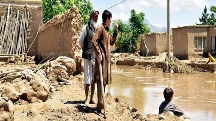 سیلاب‌های ناگهانی در ۱۴ ولایت افغانستان بیش از هزار خانواده را آواره کرد